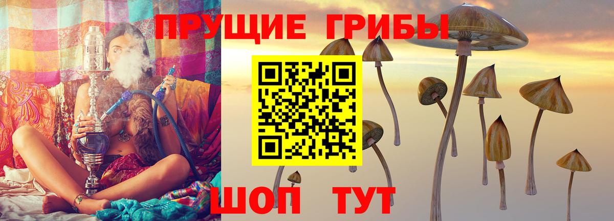 Псилоцибиновые грибы GOLDEN TEACHER  Галлюциногенные грибы прущие грибы  Вход с VPN  Осинники 