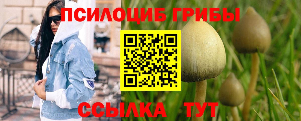 Псилоцибиновые грибы мухоморы Осинники